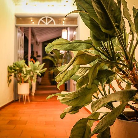 Aura Hotel Parque Barichara By Infinity Екстериор снимка